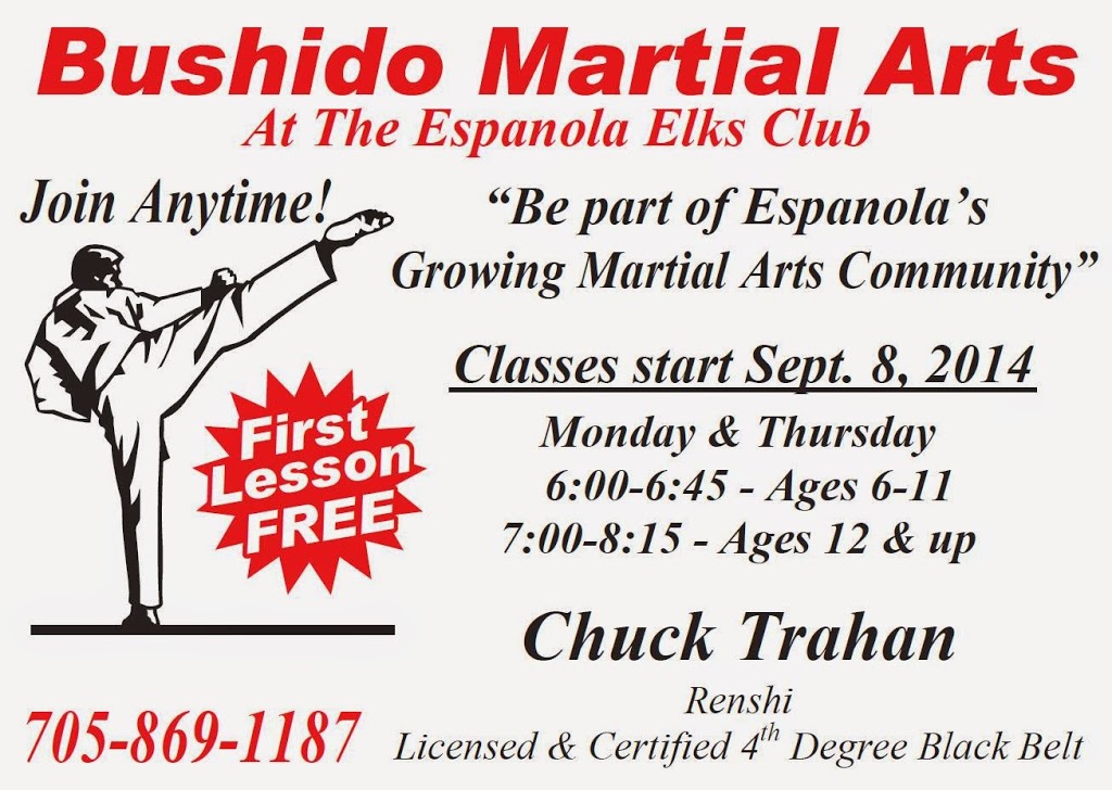 Bushido Martial Arts | 539 2nd Ave, Espanola, ON P5E 1C4, Canada | Phone: (705) 869-1187