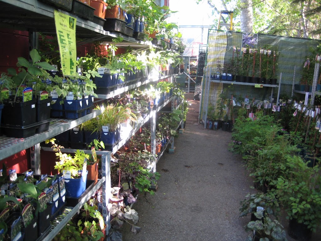 Plantation Garden Centre | 2408 4 St NW, Calgary, AB T2M 2Z7, Canada | Phone: (403) 277-4769