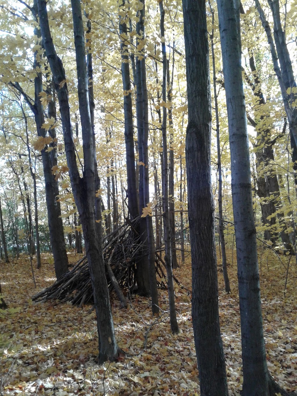 Meadowbrook park | Kingston, ON K7M 8A7, Canada