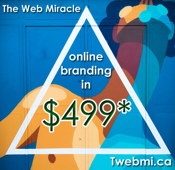 The Web Miracle | 149 Heartview Rd, Brampton, ON L6Z 0G2, Canada | Phone: (289) 800-4186