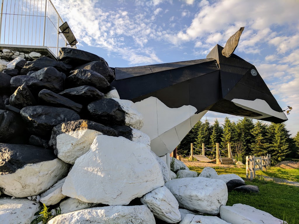 Belvédère à dos de Vache: vue sur Les Appalaches | 1282 Chemin de Windsor, Saint-Georges-de-Windsor, QC J0A 1J0, Canada