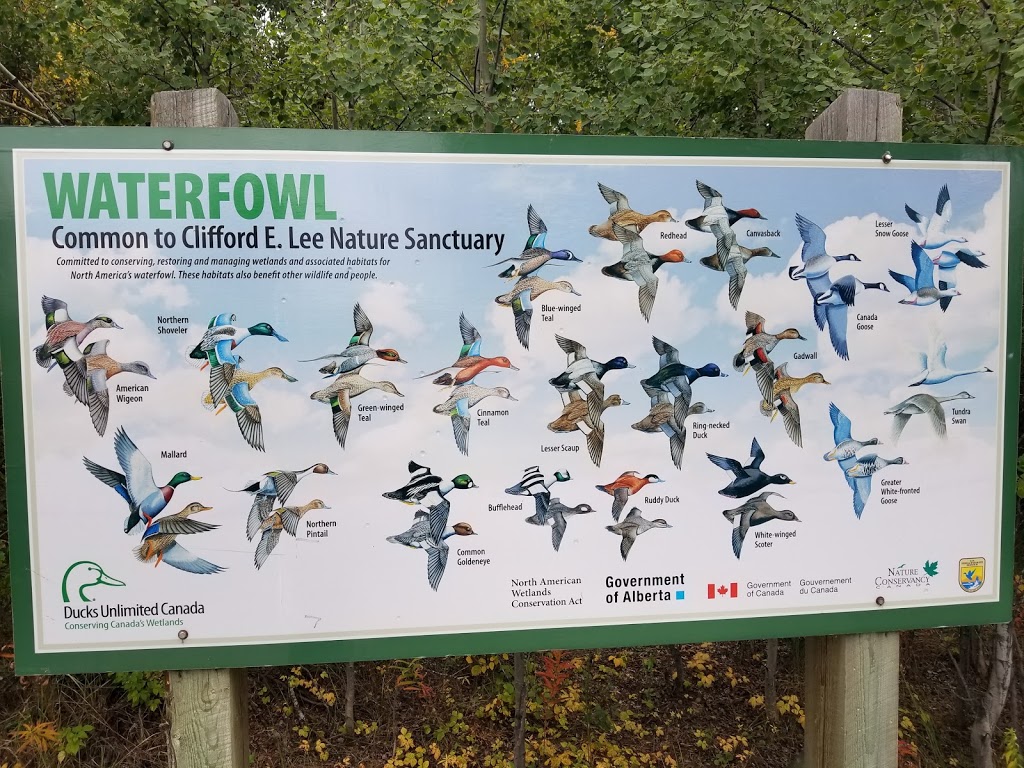 Clifford E. Lee Nature Sanctuary | Spruce Grove, AB T7Y, Canada