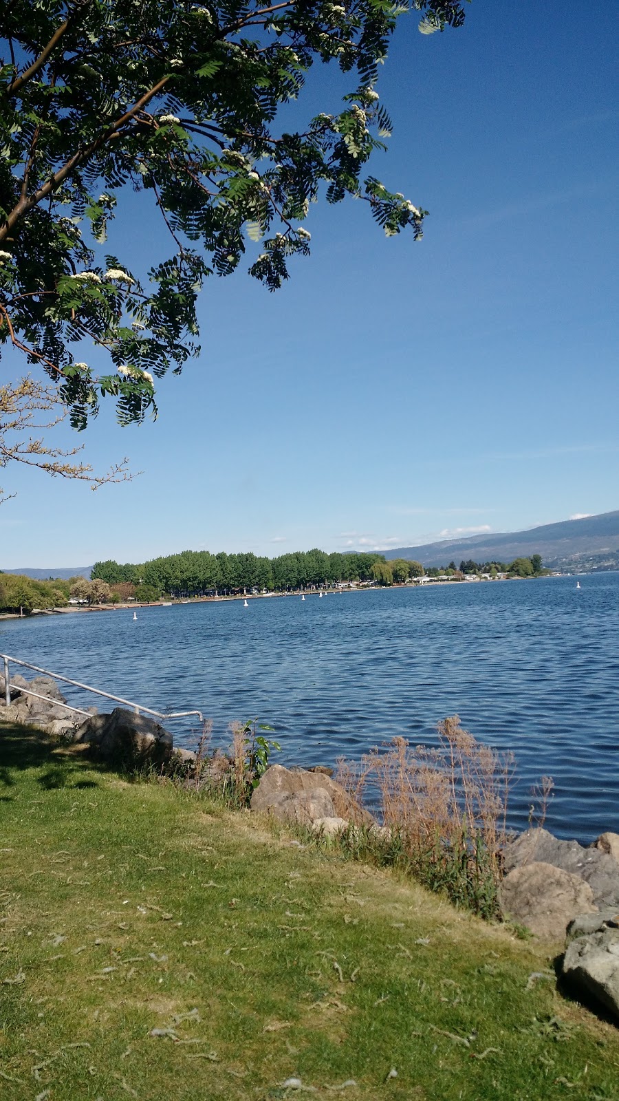 Gellatly Dog Beach | Gellatly Rd, West Kelowna, BC V4T 2K3, Canada | Phone: (250) 768-2712