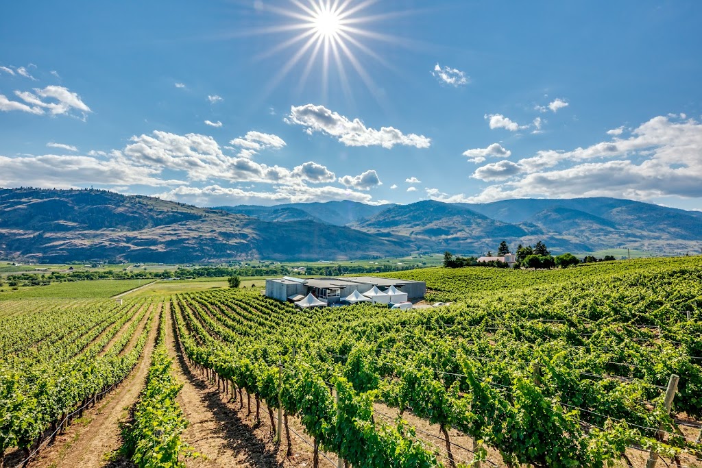 Black Hills Estate Winery | 4190 Black Sage Rd, Oliver, BC V0H 1T1, Canada | Phone: (250) 498-0666