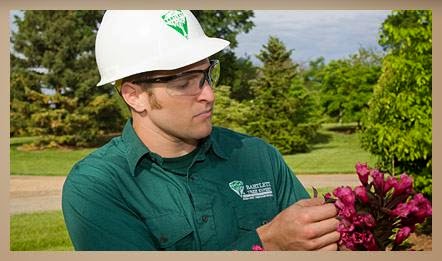 Bartlett Tree Experts | 1218 Rosewarne Dr, Bracebridge, ON P1L 0A1, Canada | Phone: (705) 646-8733