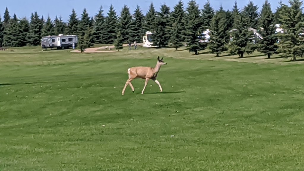 Hidden Valley Golf Course | 64110 Range Rd 12, Fawcett, AB T0G 0Y0, Canada | Phone: (780) 954-2262