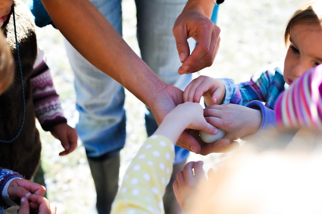 Squamish Waldorf School | 38265 Westway Ave, Squamish, BC V8B 0Y5, Canada | Phone: (604) 898-3287