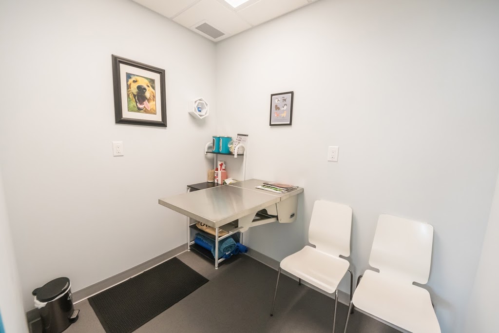 Edmonton Community Veterinary Clinic | 12701 119 St NW, Edmonton, AB T5E 5M2, Canada | Phone: (587) 635-5333