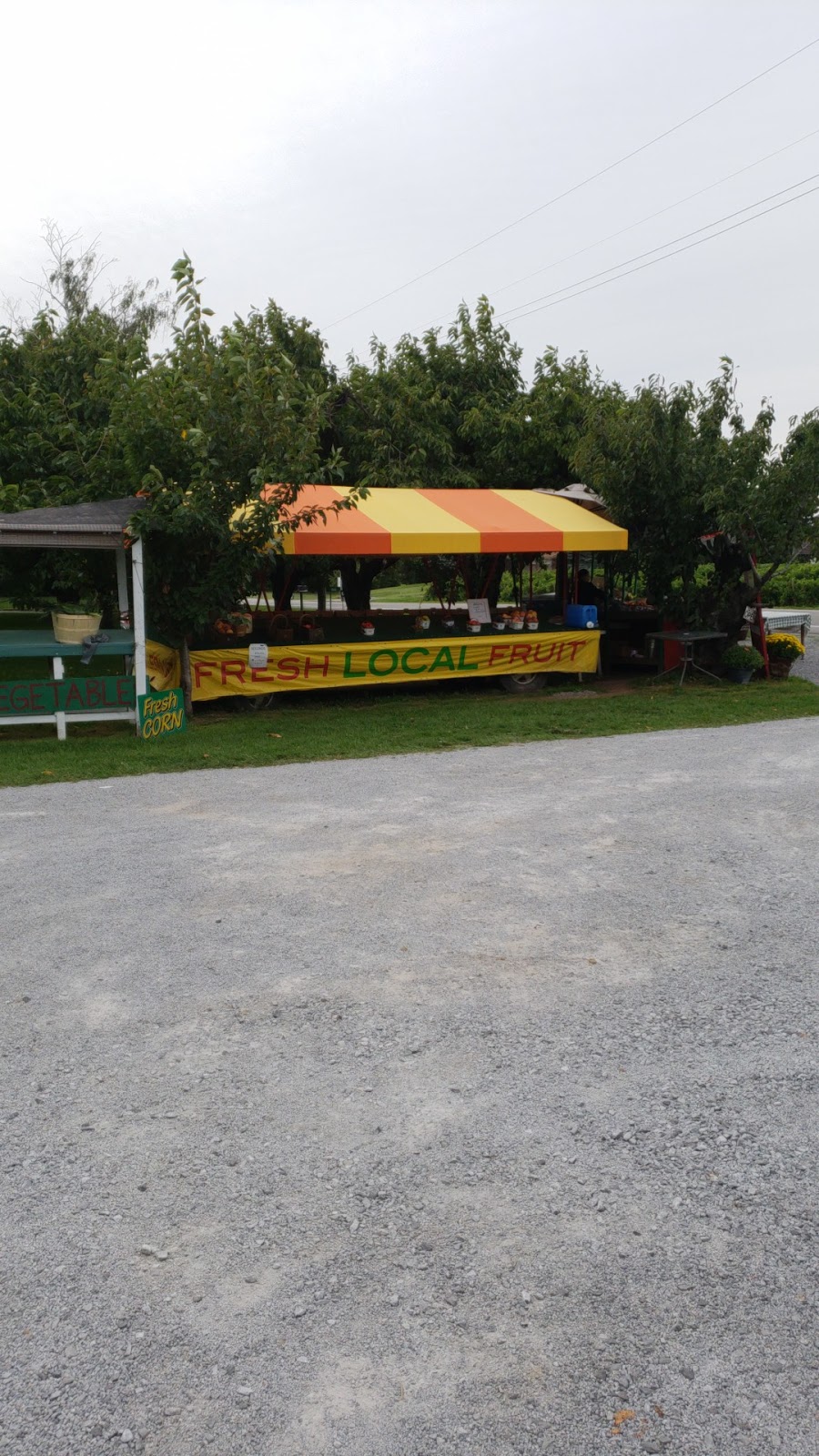 Local Menonite Fruit and Legumes | 1023 East and West Line, Niagara-on-the-Lake, ON L0S 1J0, Canada