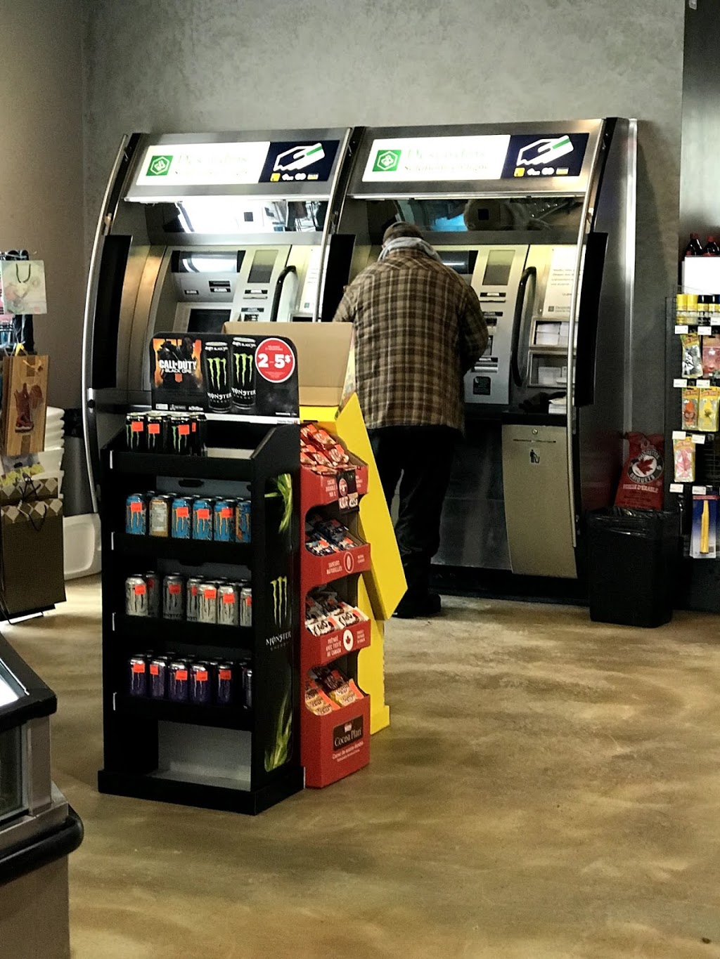 ATM Desjardins | 508 Boulevard Ste Anne, Sainte-Anne-des-Plaines, QC J0N 1H0, Canada