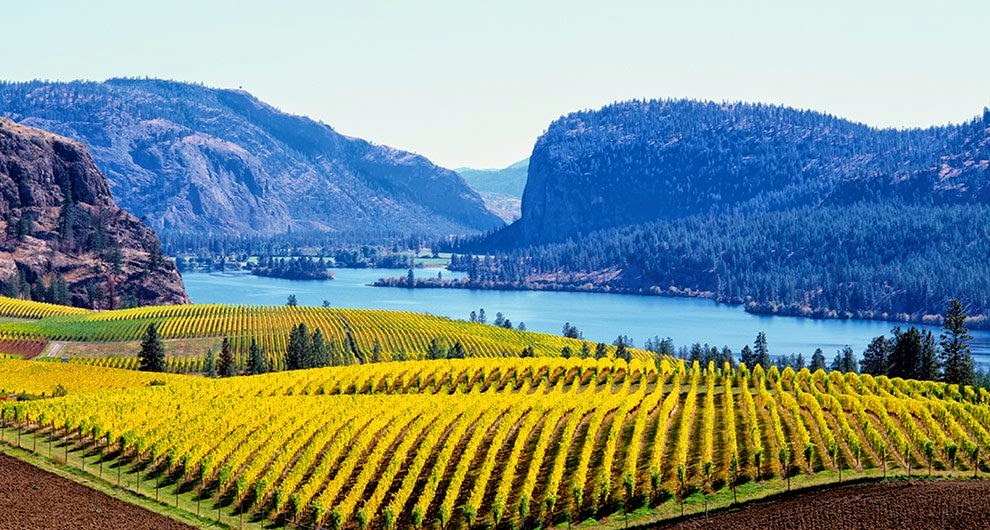 Heritage Market | 5109 9th Ave, Okanagan Falls, BC V0H 1R4, Canada | Phone: (250) 497-8155