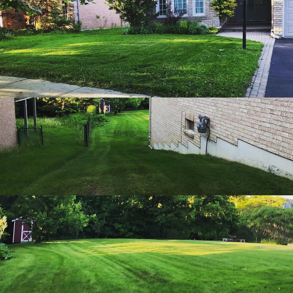 DY Lawn Maintenance Ltd. | 274 Line 9 S, Hawkestone, ON L0L 1T0, Canada | Phone: (705) 627-5723