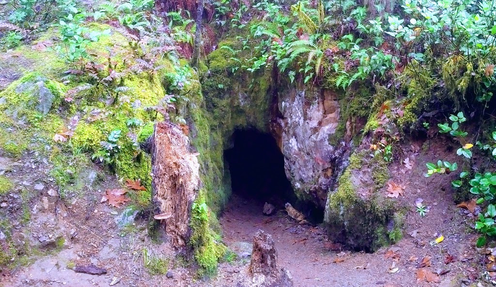 Miners Spring Falls | Langford, BC V0R, Canada