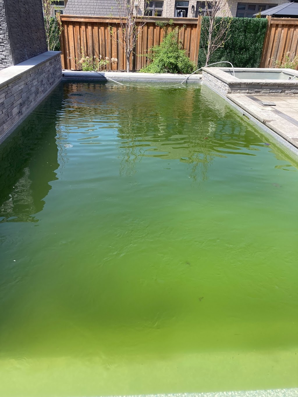 Exclusive Pool Guys | 74 Sylwood Crescent, Maple, ON L6A 2P7, Canada | Phone: (647) 550-2033