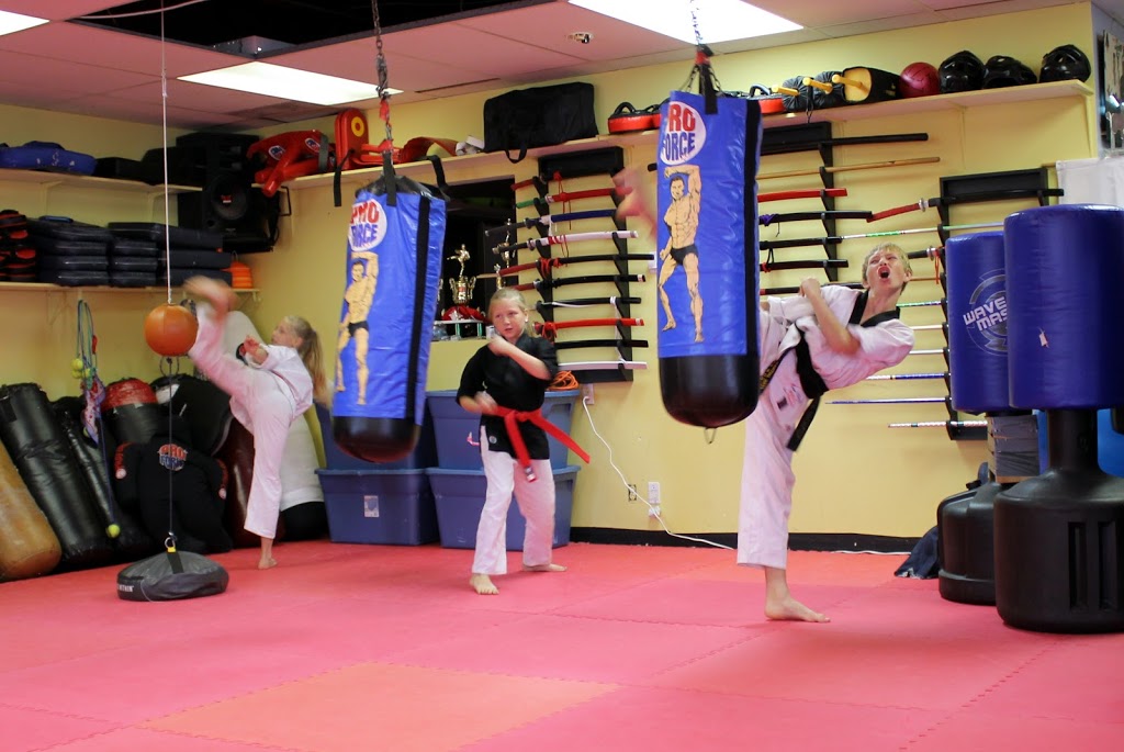 Baes Martial Arts inc. | 851 Lagimodière Blvd, Winnipeg, MB R2J, Canada, Canada | Phone: (204) 253-7825