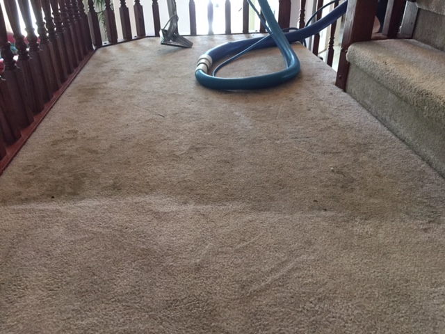 Surrey Langley Carpet Cleaning | 13923 Malabar Ave, White Rock, BC V4B 2Y1, Canada | Phone: (778) 829-4557