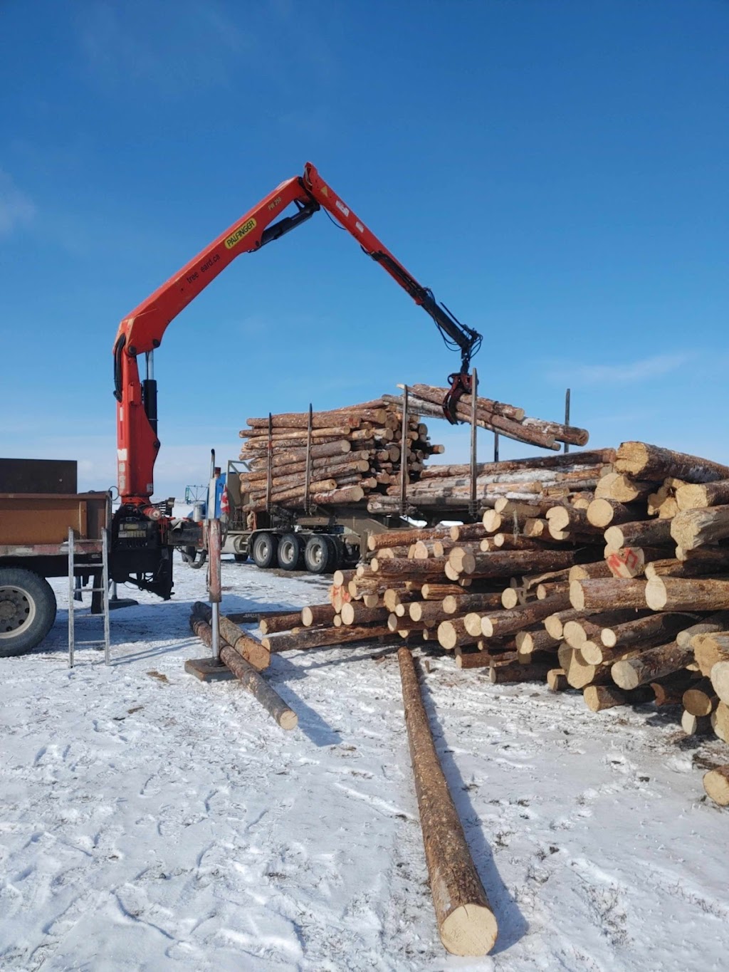 Calgary Tree Cutting | 2212 Palliser Dr SW, Calgary, AB T2V 3S3, Canada | Phone: (403) 601-0376