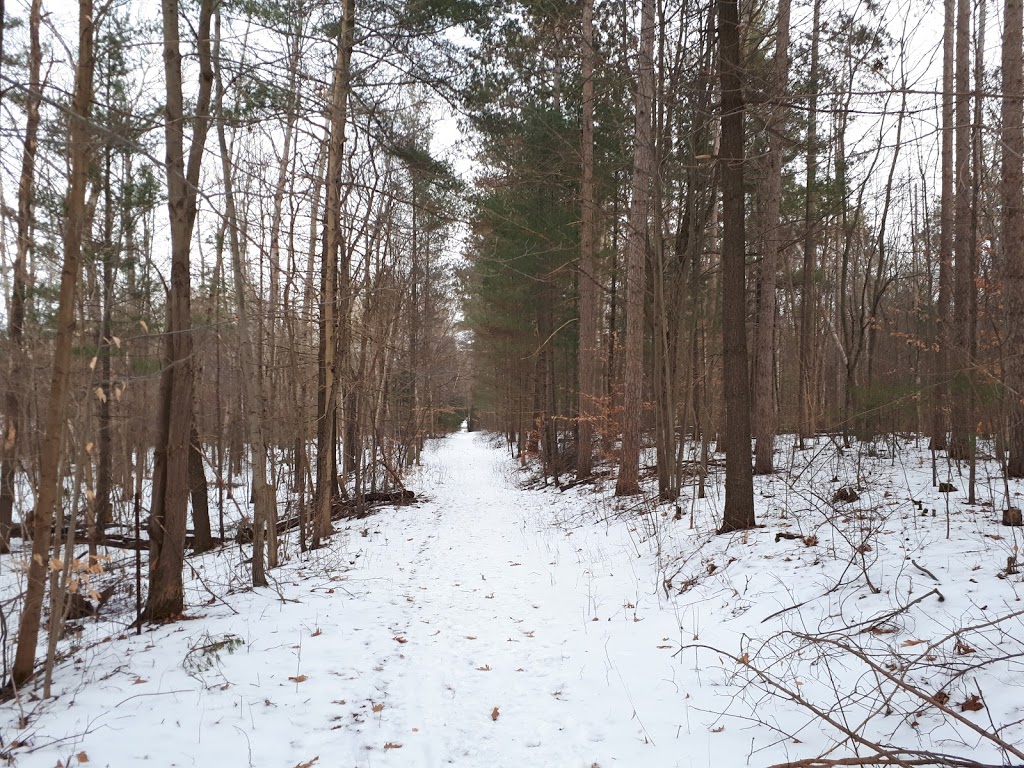 Hollidge Tract Accessible Trail | 16389 ON-48, Whitchurch-Stouffville, ON L4A 7X4, Canada