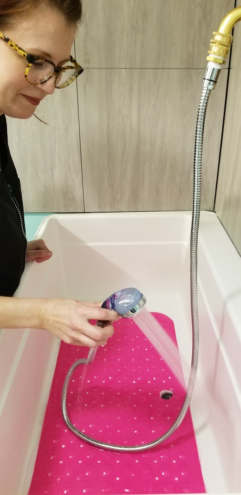 Tiny Paws Dog Spa | 4660 52a St #18, Delta, BC V4K 2Y6, Canada | Phone: (604) 379-8151