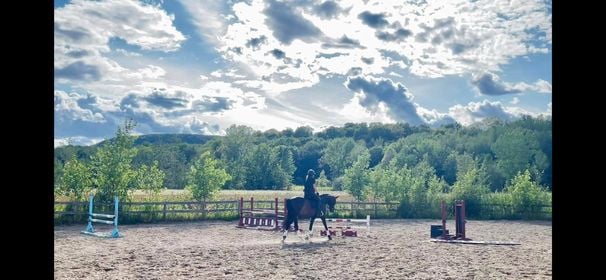 Ferme Équestre Aux Trois Temps | 49 Rang des Vingt, Saint-Basile-le-Grand, QC J3N 0E3, Canada | Phone: (514) 655-7019