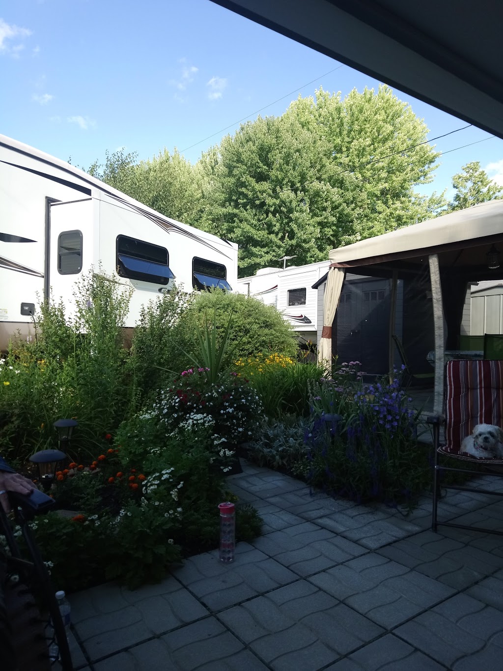 Camping Island | 238 Chemin Pépin, Roxton Falls, QC J0H 1E0, Canada | Phone: (450) 548-2495