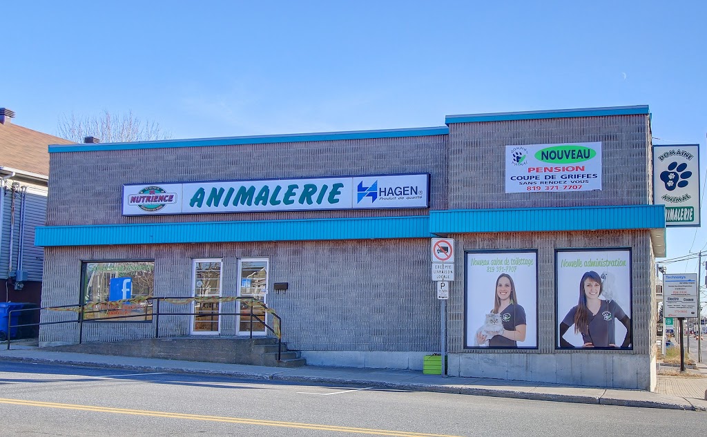 Pet Animal Domain | 437 Boulevard Thibeau, Trois-Rivières, QC G8T 6Y6, Canada | Phone: (819) 371-7707