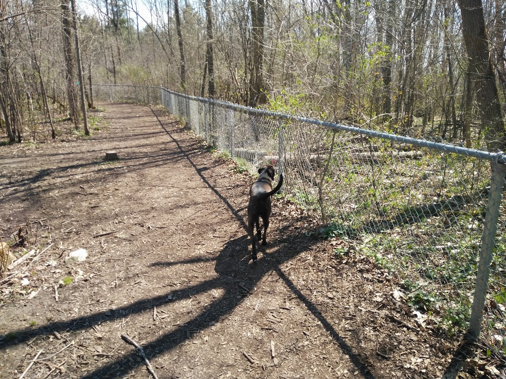 Rotary Park Dog Park | Kingston, ON K7M, Canada