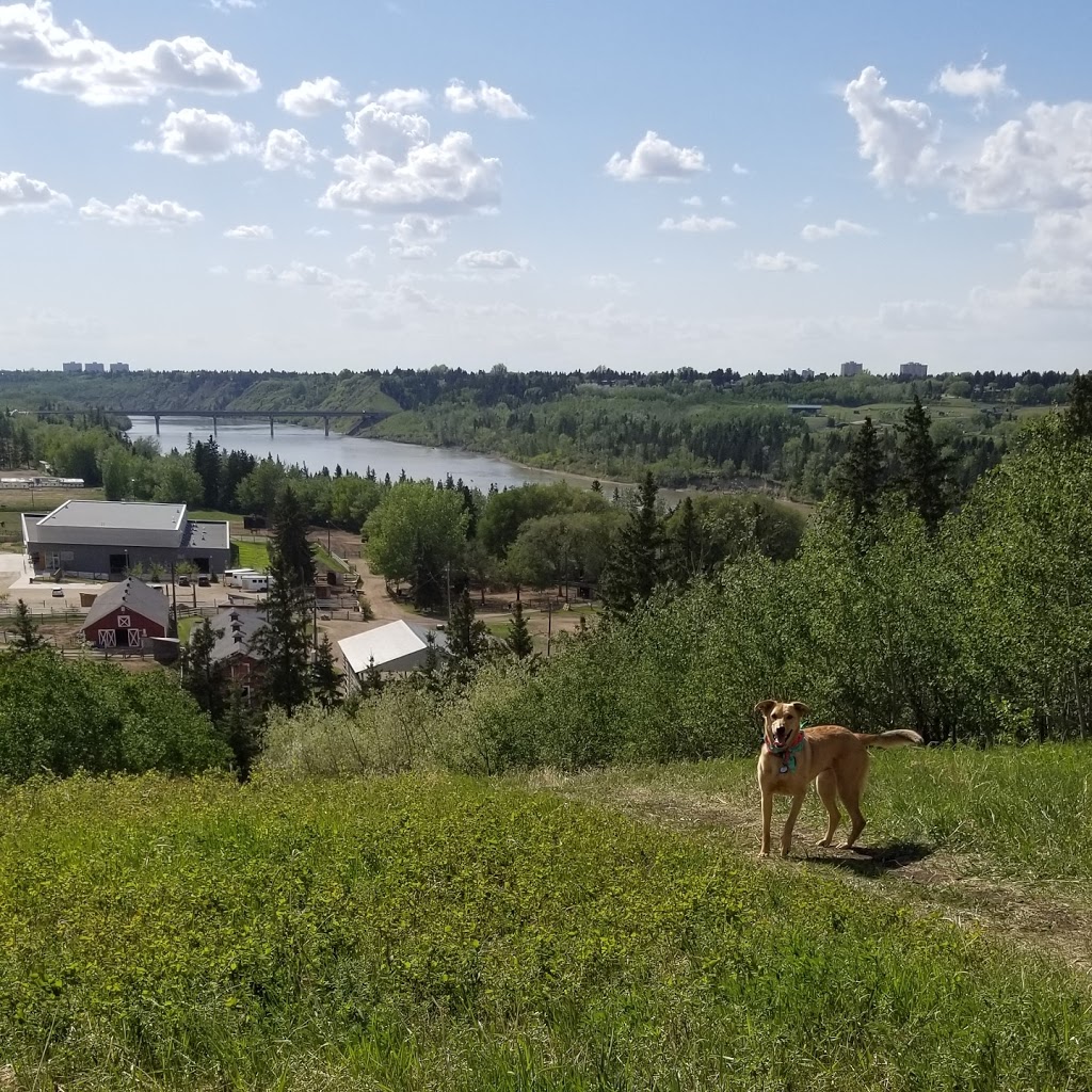 Belgravia Off Leash Site Viewpoint | River Valley Whitemud, Edmonton, AB T6G, Canada