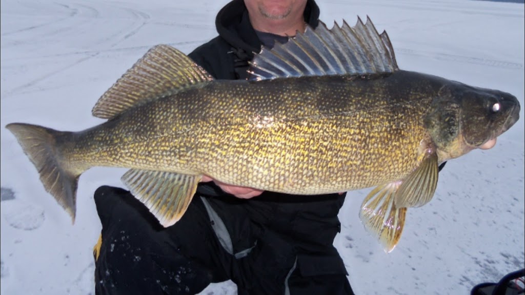 The Silver Bullet Ice Shack | Box 190, Otterburne, MB R0A 1G0, Canada | Phone: (204) 509-0942