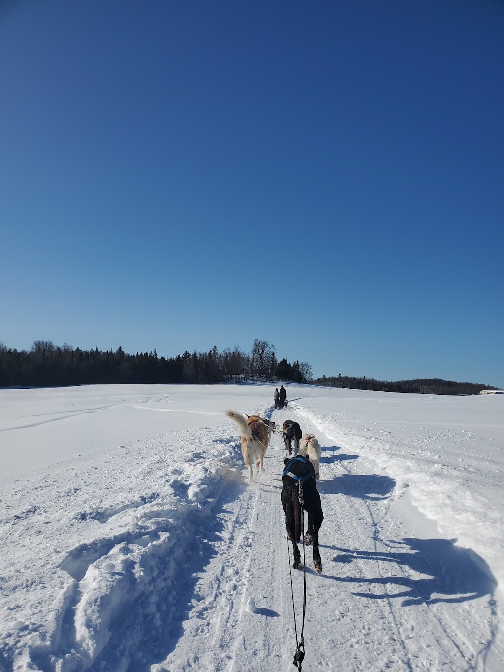 Ferme LAventure | 6 Chem. Mccrank, Low, QC J0X 2C0, Canada | Phone: (819) 422-1770