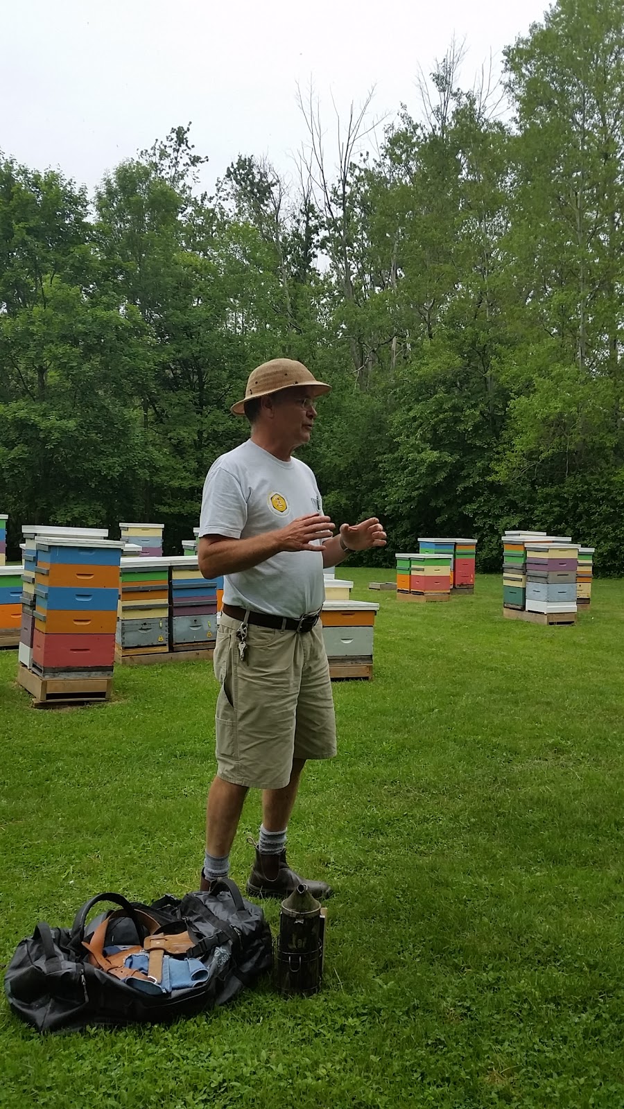 University Of Guelph Beekeeping Lab | 308 Stone Rd E, Guelph, ON N1G 2W1, Canada | Phone: (519) 836-8897