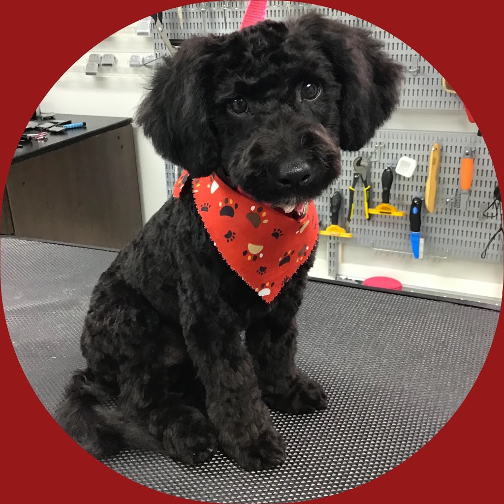 Bark N Beauties Dog Grooming Salon | 35661 Maguire Rd, Ailsa Craig, ON N0M 1A0, Canada | Phone: (519) 228-6861