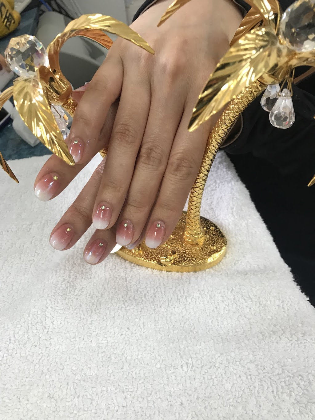 Fancy Nails | 1829 Main St W, Hamilton, ON L8S 1H6, Canada | Phone: (905) 522-4707