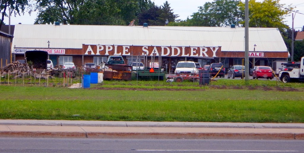 Apple Saddlery | 1875 Innes Rd, Gloucester, ON K1B 4C6, Canada | Phone: (613) 744-4040