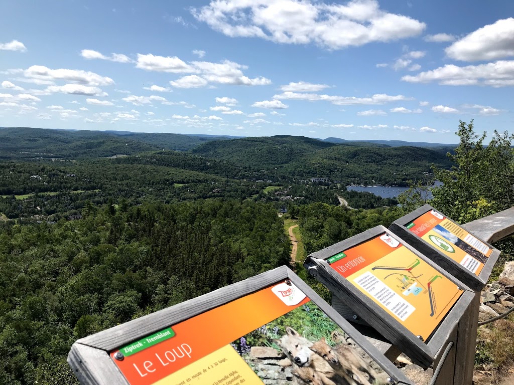 Ziptrek Ecotours | 1000 Chemin des Voyageurs, Mont-Tremblant, QC J8E 1T1, Canada | Phone: (819) 681-4448