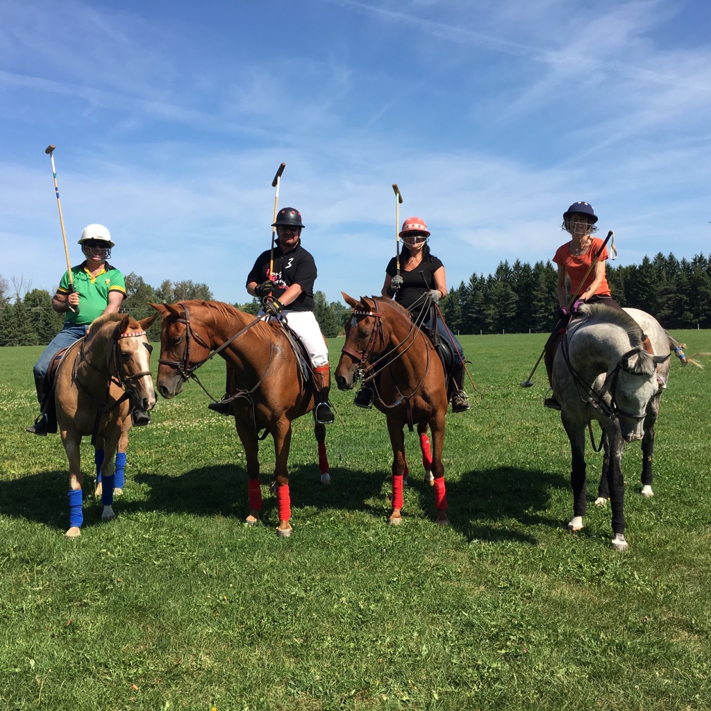 Ottawa Manotick Polo Club | box 373, Polo Club, 1600 Bankfield Rd, Manotick, ON K4M 1A4, Canada | Phone: (613) 851-2155