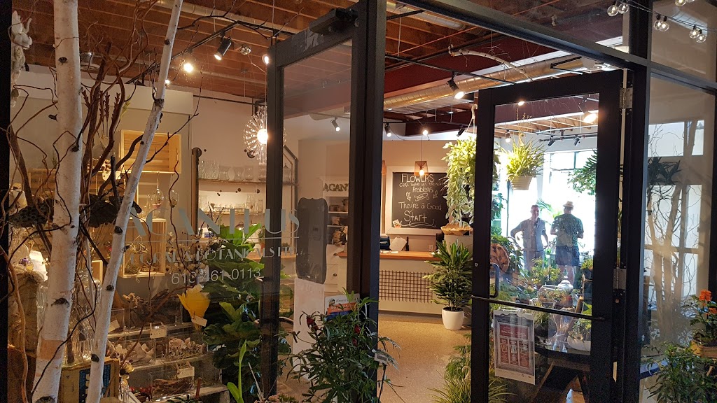 Acanthus Floral & Botanical | 14 Mill St, Almonte, ON K0A 1A0, Canada | Phone: (613) 461-0113