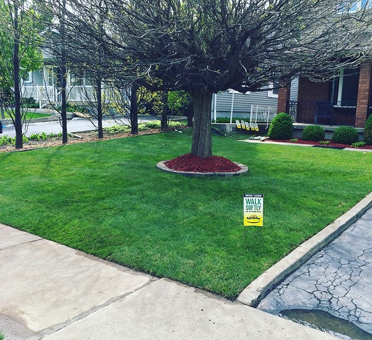 YellowCedar Landscaping | 87 Valleyview Dr, Ancaster, ON L9G 2A6, Canada | Phone: (289) 237-3978