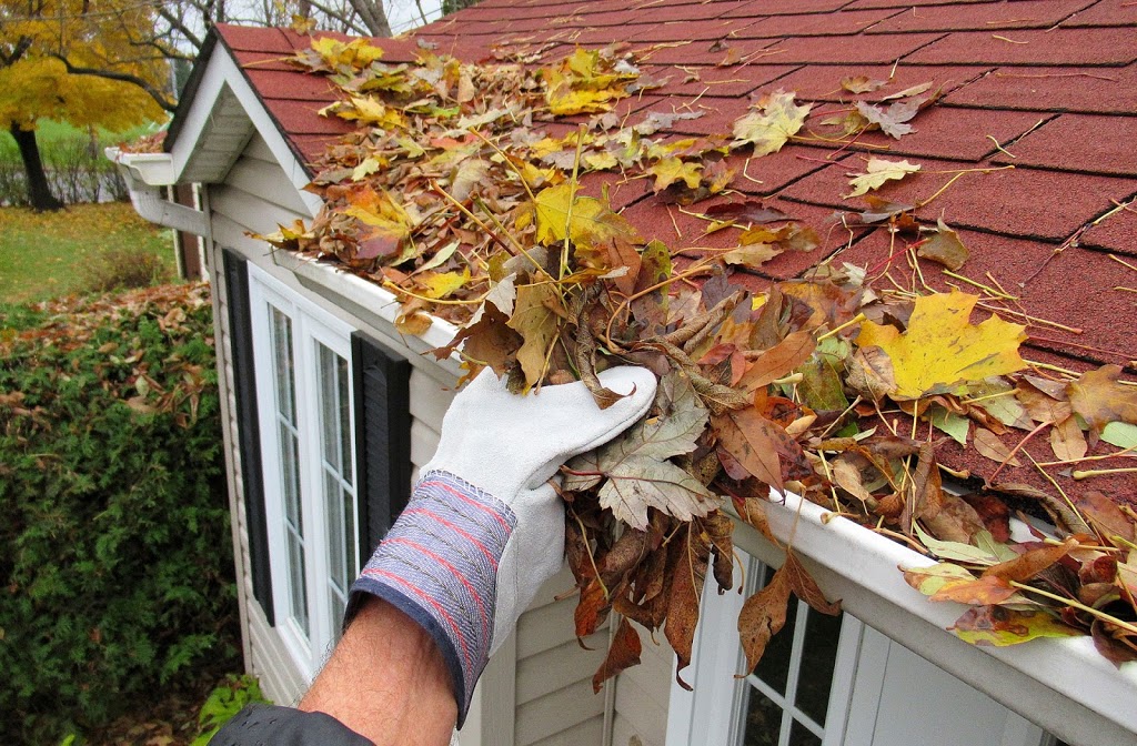 Skyline Gutters | 4105 Stewart Rd, Chilliwack, BC V2R 5G6, Canada | Phone: (604) 823-7229