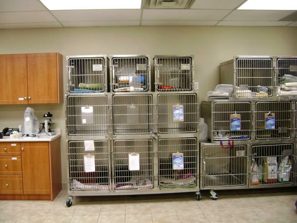 Mcleod Road Animal Clinic | 7000 McLeod Rd, Niagara Falls, ON L2G 7K3, Canada | Phone: (905) 371-8200