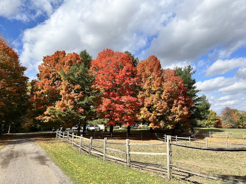 View Point Farm | 2465 Britannia Rd, Burlington, ON L7P 0E9, Canada | Phone: (905) 335-1963