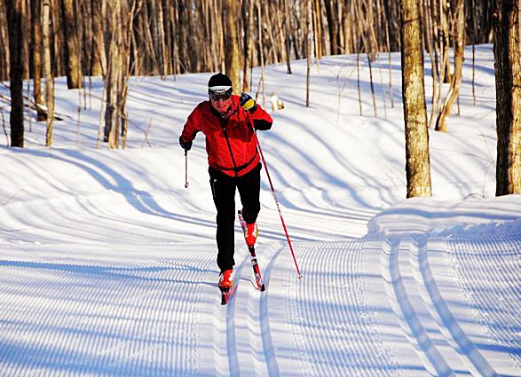 Hardwood Ski and Bike | 402 Old Barrie Rd W, Oro Station, ON L0L 2E0, Canada | Phone: (705) 487-3775