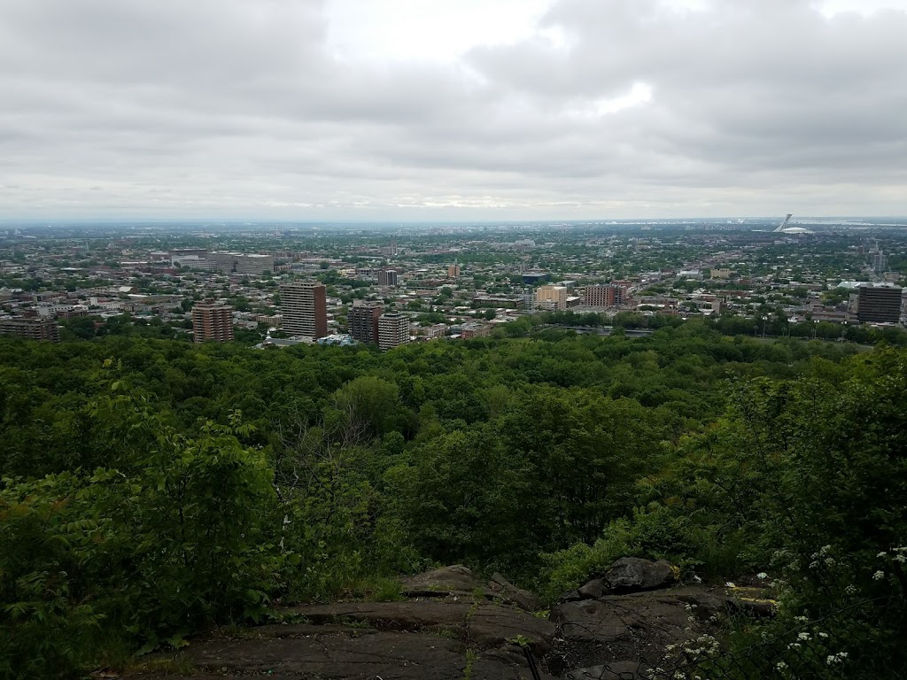 Mount Royal Summit | Ville-Marie, Montreal, QC H2W 1S8, Canada