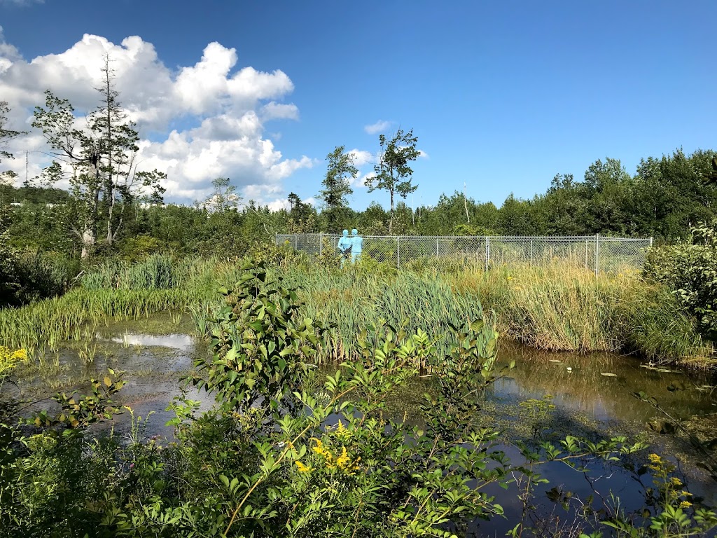 Burnsides Engineered Wetland Project | Akerley Blvd, Dartmouth, NS B3B 1R3, Canada