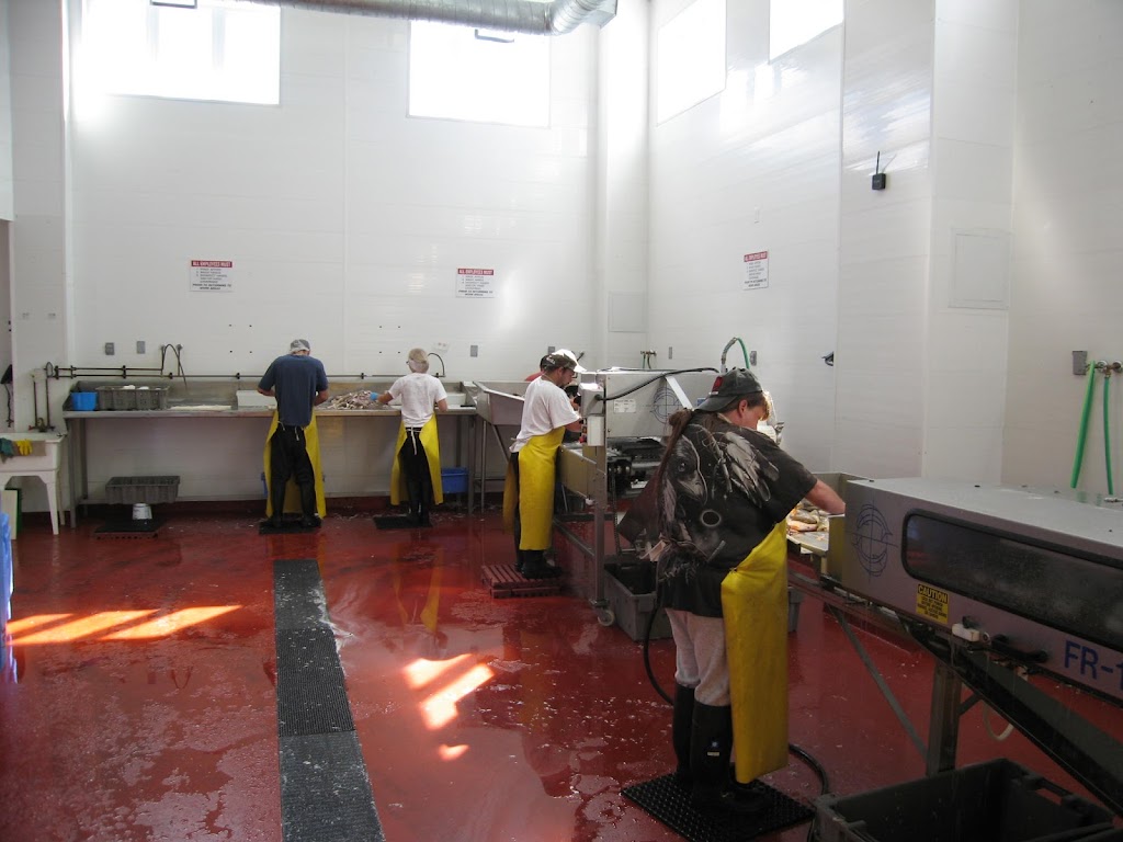 Fish Processing Plant - Minor Fisheries Ltd. | 1070 Elm St, Port Colborne, ON L3K 5V5, Canada | Phone: (905) 834-1354