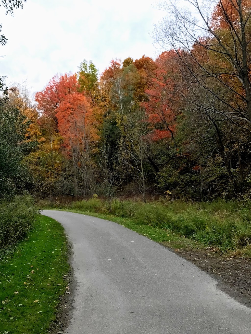 Betty Sutherland Trail Park | 250 Duncan Mill Rd, Toronto, ON M3A, Canada | Phone: (416) 338-4386