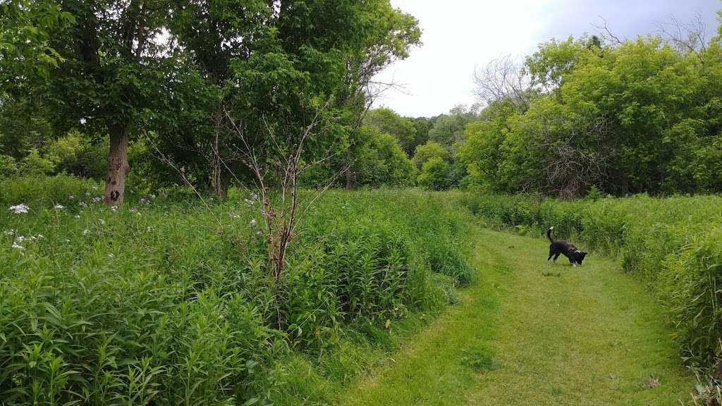 Rouge River Park | Unnamed Road, Scarborough, ON M1B, Canada, Canada