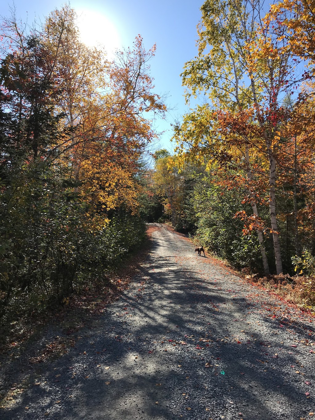 Jerry Lawrence Provincial Park | 4775 St Margarets Bay Rd, Upper Tantallon, NS B3Z 1N5, Canada