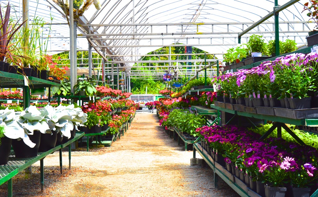 Elk Lake Garden Centre Ltd. | 5450 Patricia Bay Hwy, Victoria, BC V8Y 1T1, Canada | Phone: (250) 658-8812