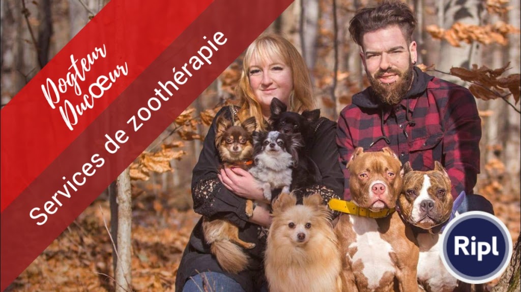 Services de Zoothérapie Dogteur Ducoeur | 450 Rang Sainte Henriette, Saint-Lin-Laurentides, QC J5M 0S1, Canada | Phone: (514) 688-4426